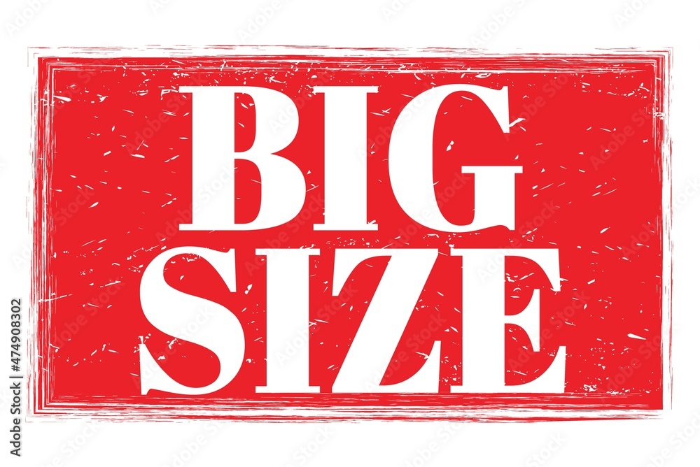 Fototapeta premium BIG SIZE, words on red grungy stamp sign