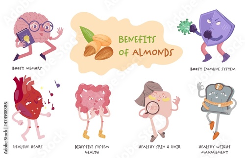 Almond nuts benefits advertising poster. Vector illustration