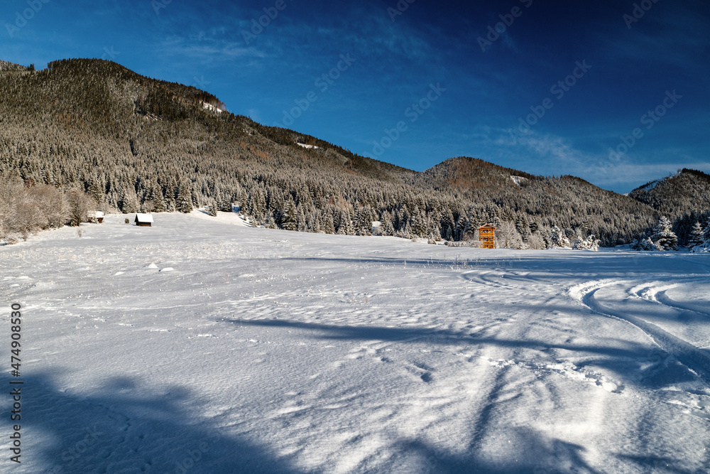 Snowy winter country with hill at background
