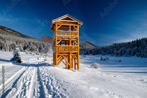 Lookout in snowy winter country