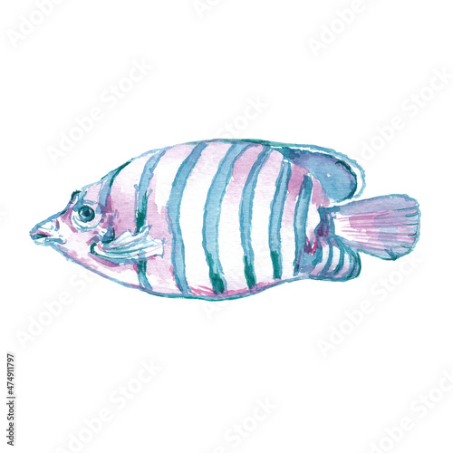 Watercolor sea fish illustration. Hand painted sea life clipart isolated on white background. Great for card making, scrapbooking, posters, surface design. Ocean creature in blue, pink and indigo 