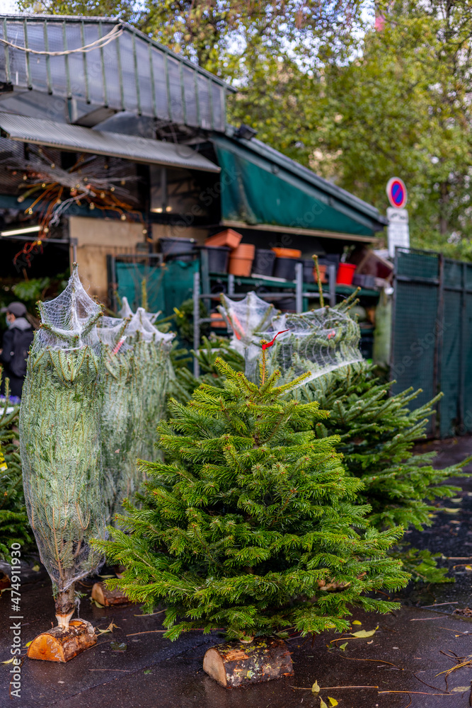 Sale of natural Christmas trees on the streets of Paris on Christmas Eve. Sale of natural Christmas trees on the streets of Paris on Christmas Eve.