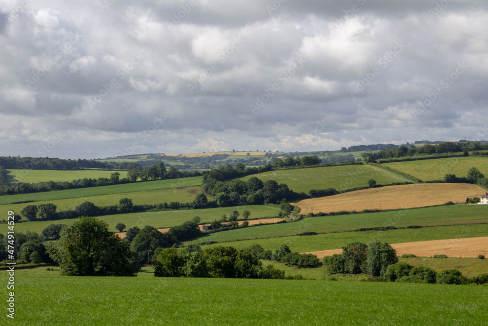 a patchwork of Devon rolling hills with green farm land, hedgerows and trees with a few white clouds and blue skies