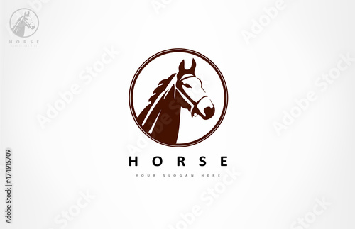 Horse logo vector. Animal vector design.
