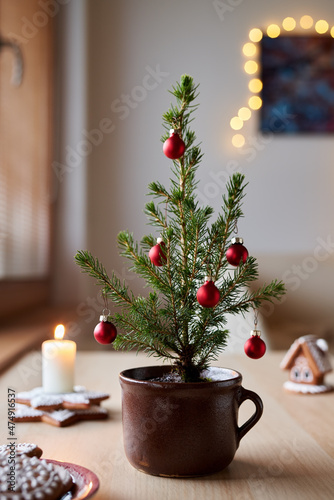 Alternative Christmas tree in a pot on a table, with gingerbread cookies