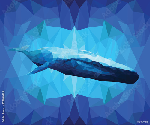 Blue Whale