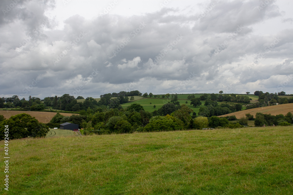 distant Devon hills and grazing land and a hedgerow in the background on a cloudy day