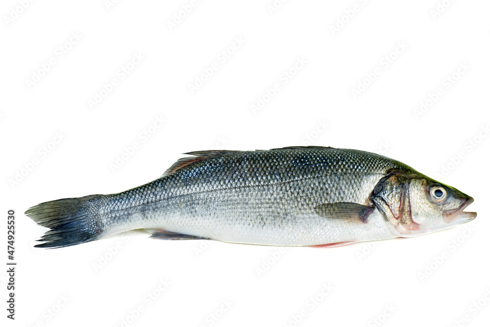 Fototapeta premium Fish sea bass isolated. Side view
