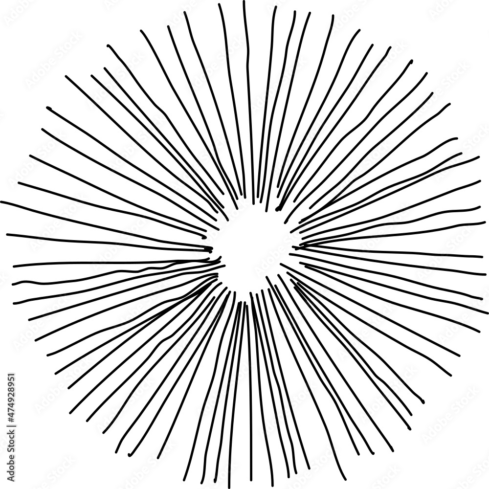 Obraz premium Tree plan hand drawn sketch icon top