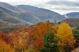 autumn landscape over hills of dumesti, romania, alba county