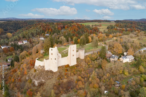 Burg Schönecken (Eifel)