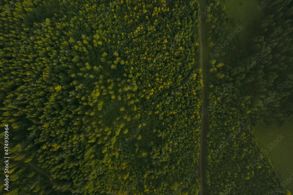 Aerial view of road surrounded by forest with beautiful green trees Aerial view of road surrounded by forest with beautiful green trees