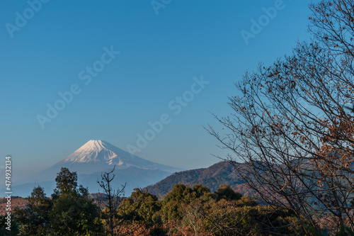 秋の修善寺もみじ林から見える富士山