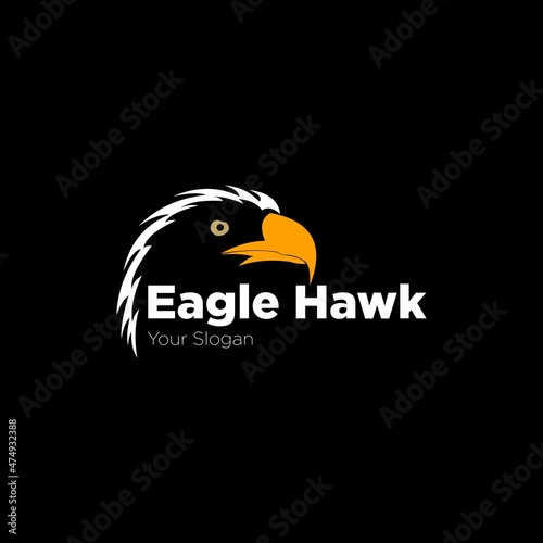 Eagle Sea Eagle Logo Symbol,vector image