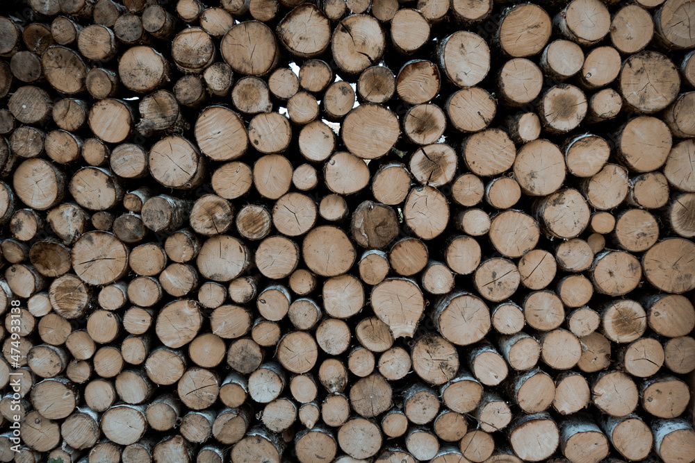 Stack of tree trunks. Texture background Stack of tree trunks. Texture background