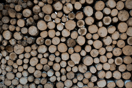 Stack of tree trunks. Texture background