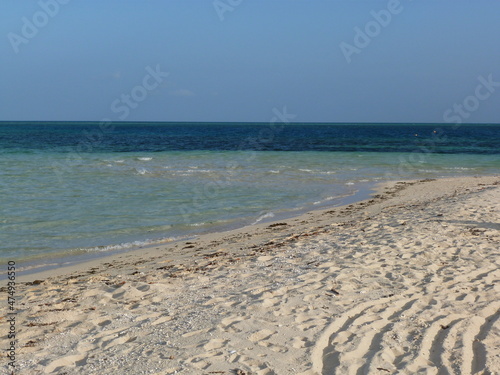 Breathtaking tropical beach with turquois water, Viti Levu, Fiji