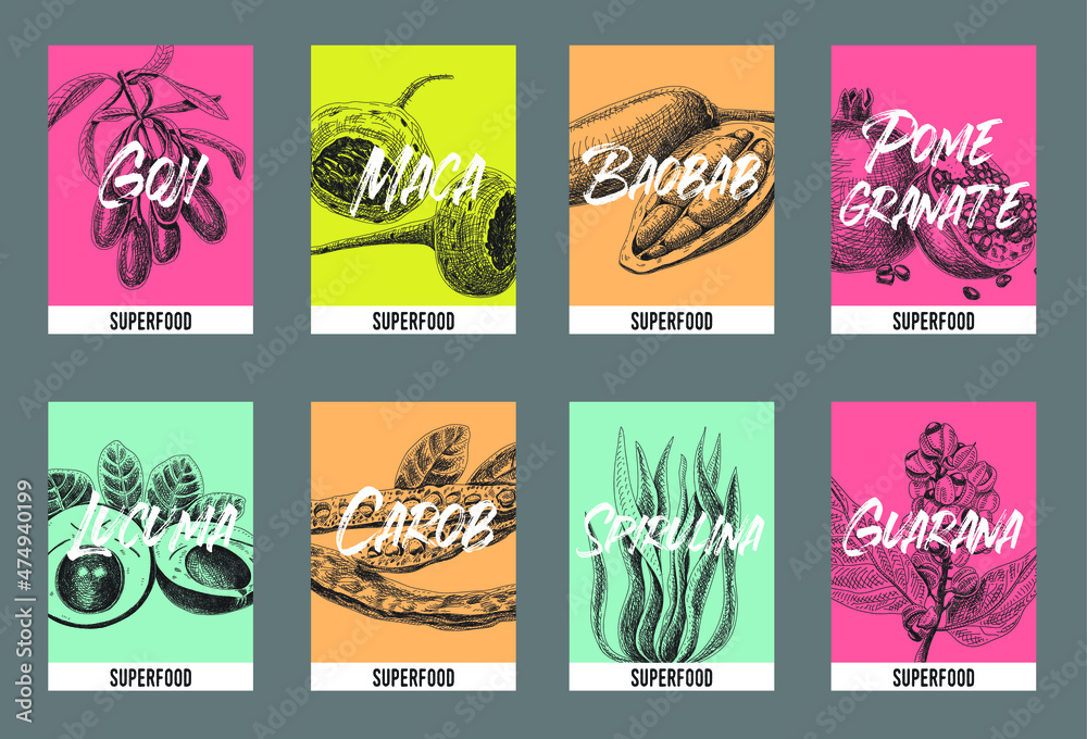 Superfood cards set. Superfood cards set Fruit hand-drawn vector.