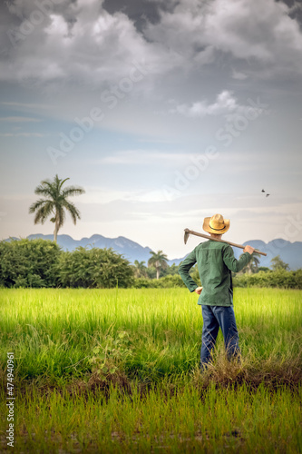 Farmer in a rice field