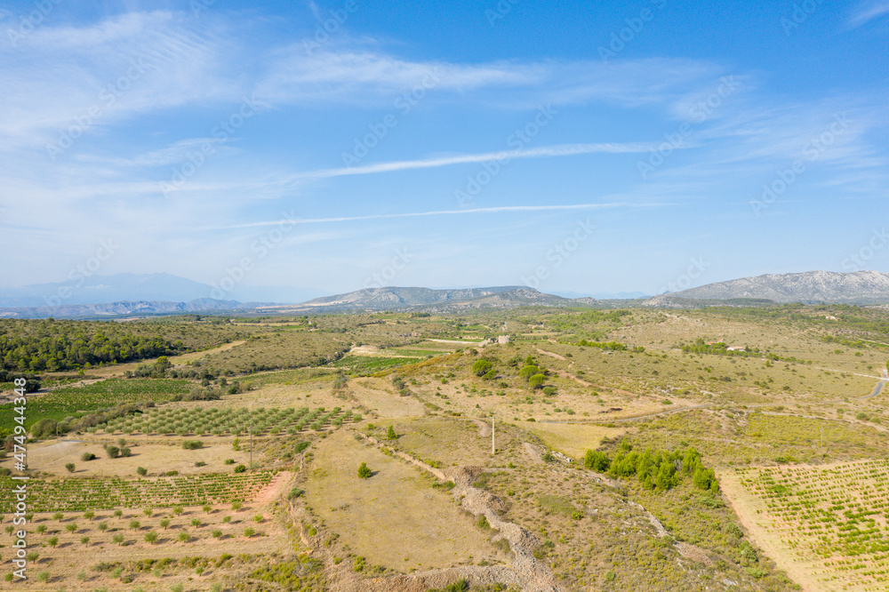 Fototapeta premium The village of Opoul Perillos surrounded by the many vineyards in Europe, France, Occitanie, the Pyrenees Orientales, in summer, on a sunny day.