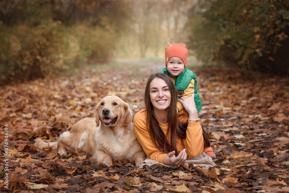 girl and kid hug golden retriever dogs outdoors in autumn