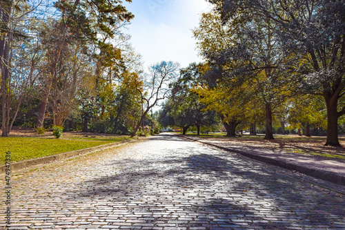 Cloverdale Park, Montgomery, Alabama photo