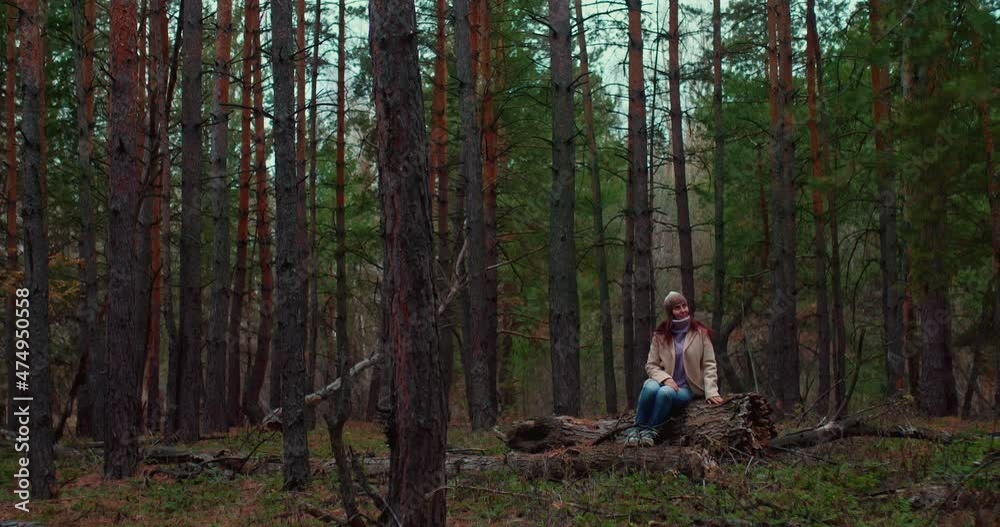 Young woman is sitting on a stump in a fabulous magical forest, tall pines and fir trees around. Dense coniferous forest, tall tree trunks. Beautiful woman sits thoughtfully and watches nature. 4k Young woman is sitting on a stump in a fabulous magical forest, tall pines and fir trees around. Dense coniferous forest, tall tree trunks. Beautiful woman sits thoughtfully and watches nature. 4k