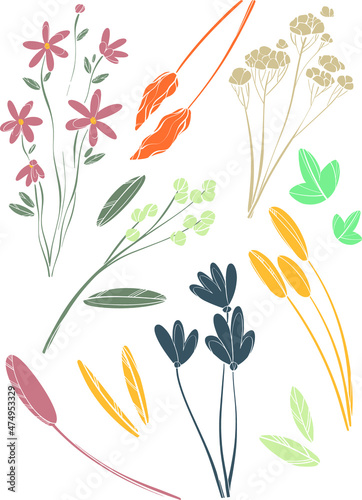 set of wildflowers, twigs, leaves and dried flowers
