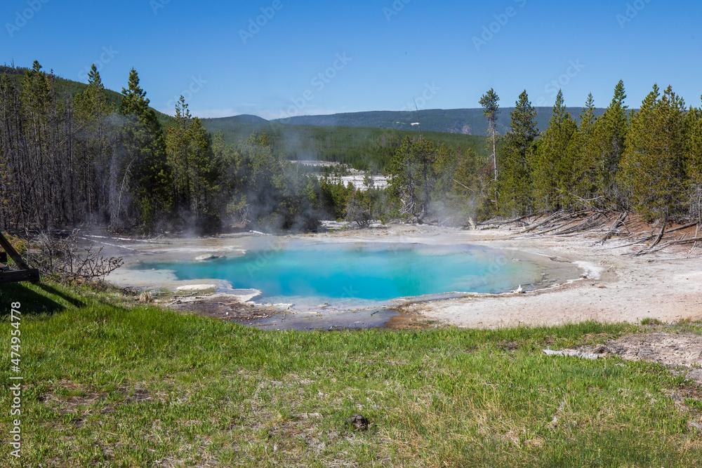 Emerald Spring at Norris Geyser Basin in summer, Yellowstone National Park Wyoming hot springs. Emerald Spring at Norris Geyser Basin in summer, Yellowstone National Park Wyoming hot springs.