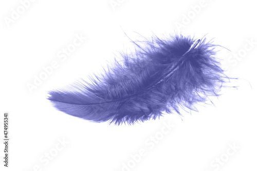 Violet fluffy feather flying isolated on white background. Demonstration of trendy color 2022 Very Peri