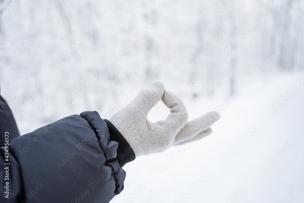 Hands in gloves against the background of the winter forest. Winter is coming. A walk in a snowy white grove. Frosty wind, frozen hands Hands in gloves against the background of the winter forest. Winter is coming. A walk in a snowy white grove. Frosty wind, frozen hands