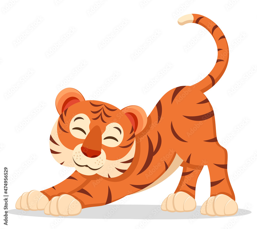 Tiger stretches on a white background. Character