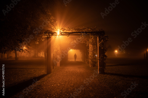 Fog