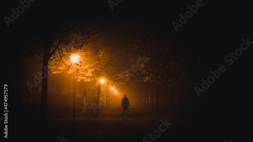 Fog