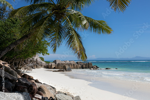 Typical Seychelles landscape. A palm tree hangs over a snow-white beach. In the distance, along the perfecet beach, large rocks half-sink into the turquoise water. Idylic paradise place.