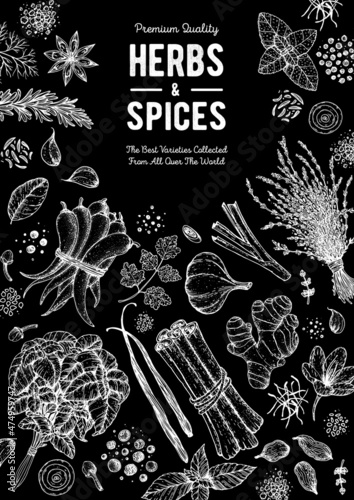 Herbs and spices hand drawn vector illustration. Aromatic plants. Hand drawn food sketch. Great for package. Vintage illustration. Card design. Sketch style. Spice and herbs black and white design.