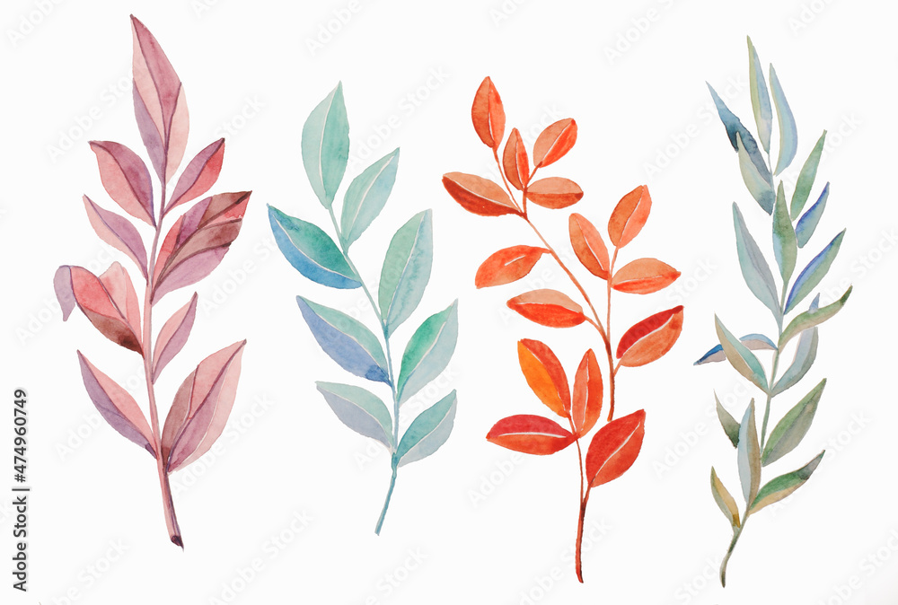 A large assortment of twigs with leaves of different shapes and colors. Watercolor drawing. A large assortment of twigs with leaves of different shapes and colors. Watercolor drawing.