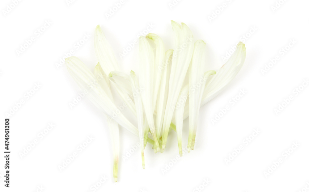 Naklejka premium White flower petal on empty white background with copy space . Light and shadows minimalism style template . Top view.