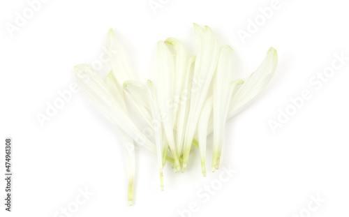 White flower petal on empty white background with copy space . Light and shadows minimalism style template . Top view.