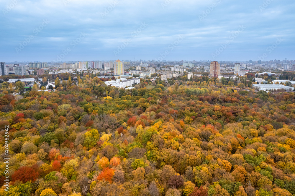 Top aerial view of autumn park at big city