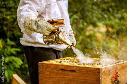 Bee smoker with beekeeper working in his apiary on a bee farm, beekeeping concept