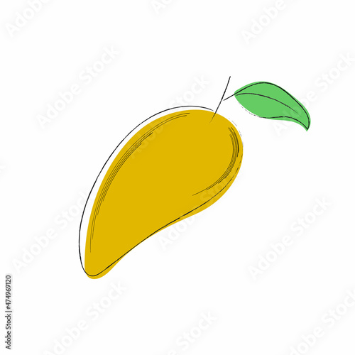 Vector mango fruit isolated on white background