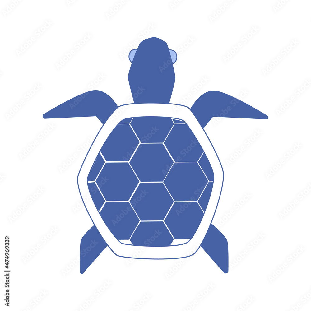 Obraz premium Blue turtle