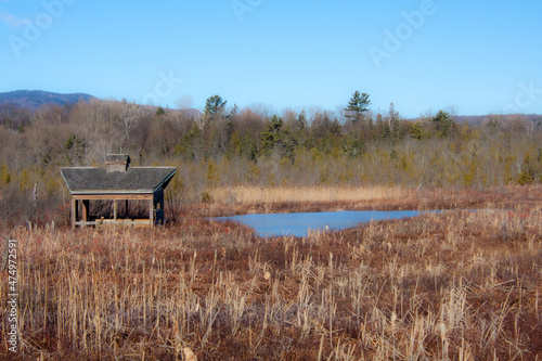 View over part of the Cherry river swamp and its old abandoned hut
in Magog, Quebec, Canada
 photo