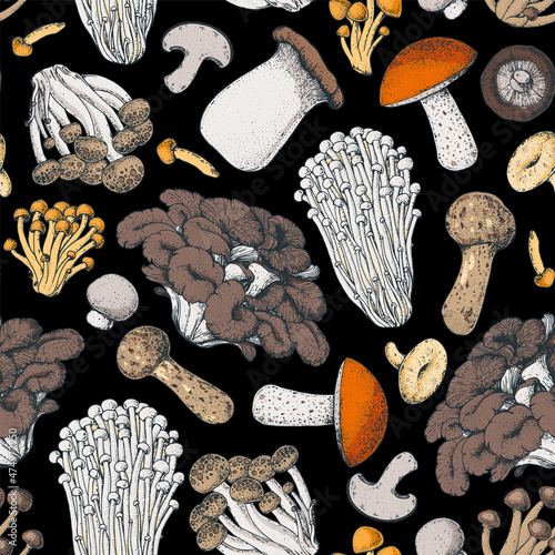 Mushrooms seamless pattern. Hand drawn. Various mushrooms hand drawn vector illustration. Food background. Forest mushrooms.