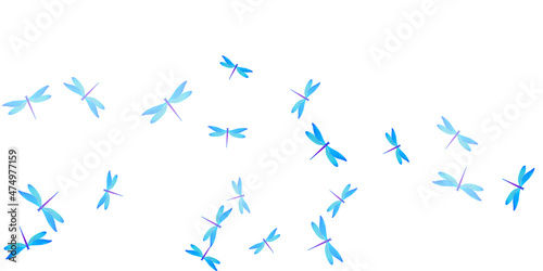 Exotic cyan blue dragonfly flat vector wallpaper. Summer funny insects. Simple dragonfly flat kids background. Tender wings damselflies graphic design. Tropical creatures
