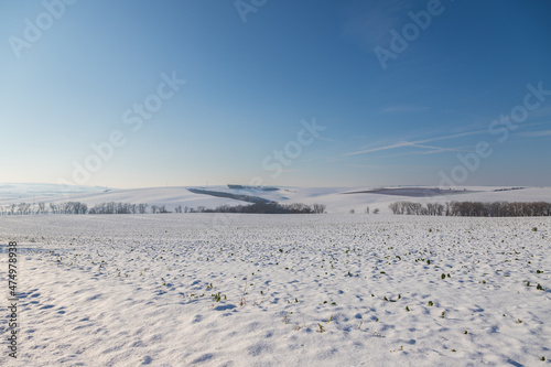 Panorama of winter snowy rolling landscape Nasedlovice in the Czech Republic - in Europe. Blue sky with white clouds. photo