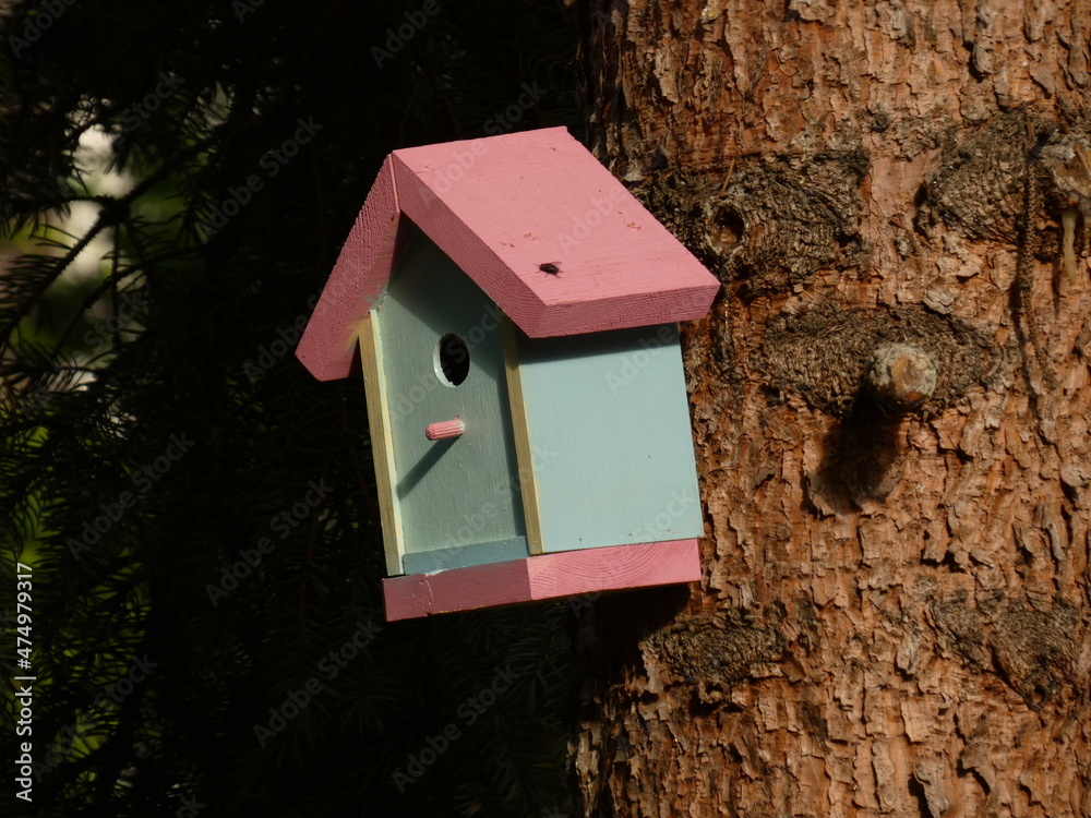 Wooden nest box painted in pink and blue