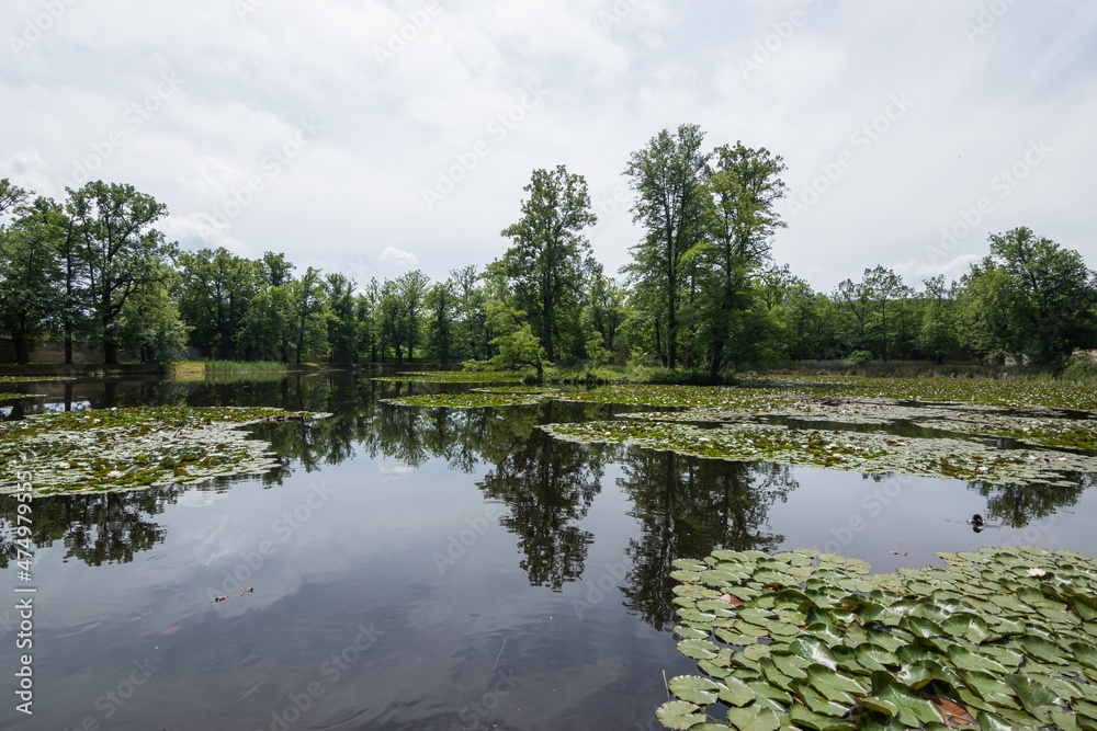 Fototapeta premium Cesky Krumlov, Czech Republic, June 2019 - view of Cesky Krumlov Castle Gardens