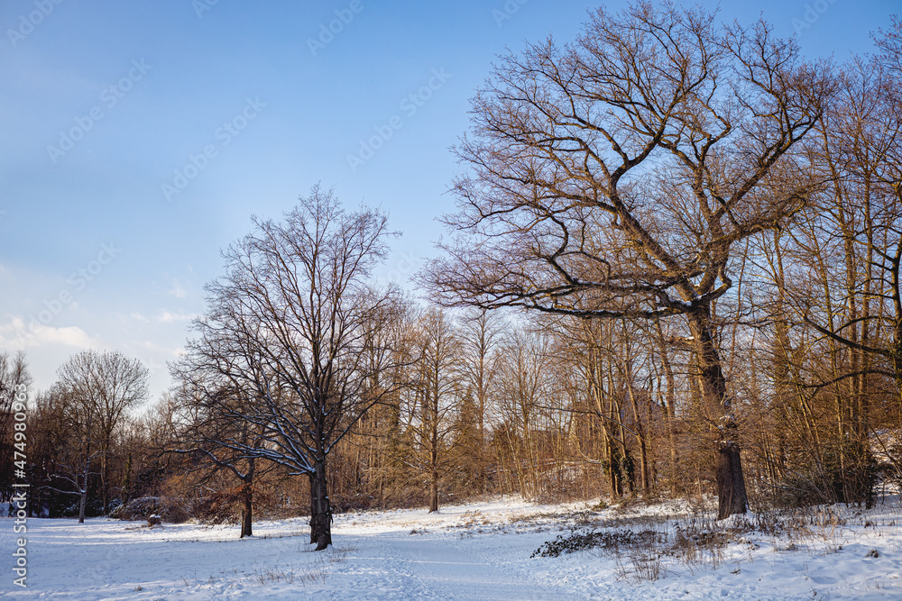 Winter landscape Winter landscape